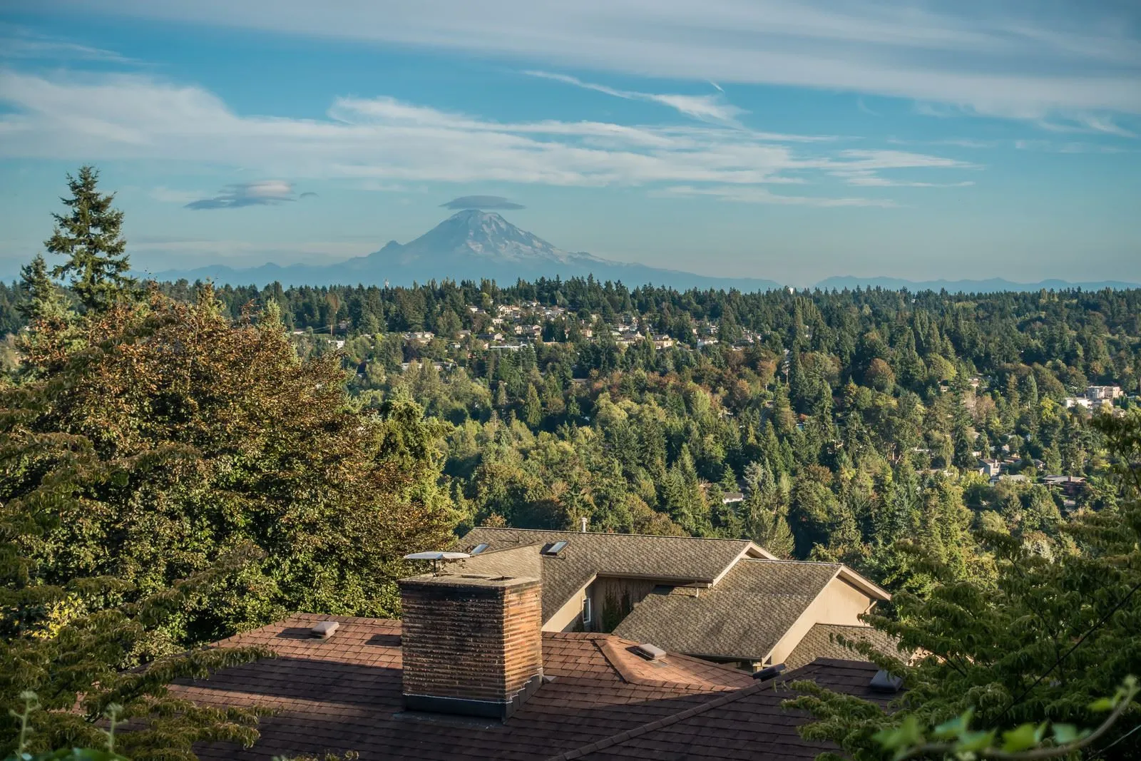 Stress-free,fast, and simple moves for families and businesses across Kent, WA